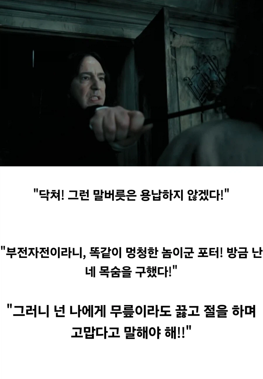 해리포터) 스네이프가 영화에서 가장 미화된 순간