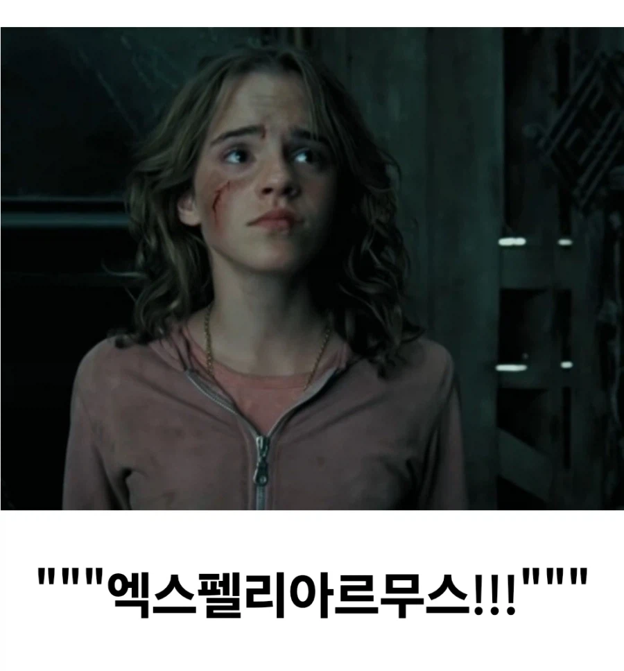 해리포터) 스네이프가 영화에서 가장 미화된 순간