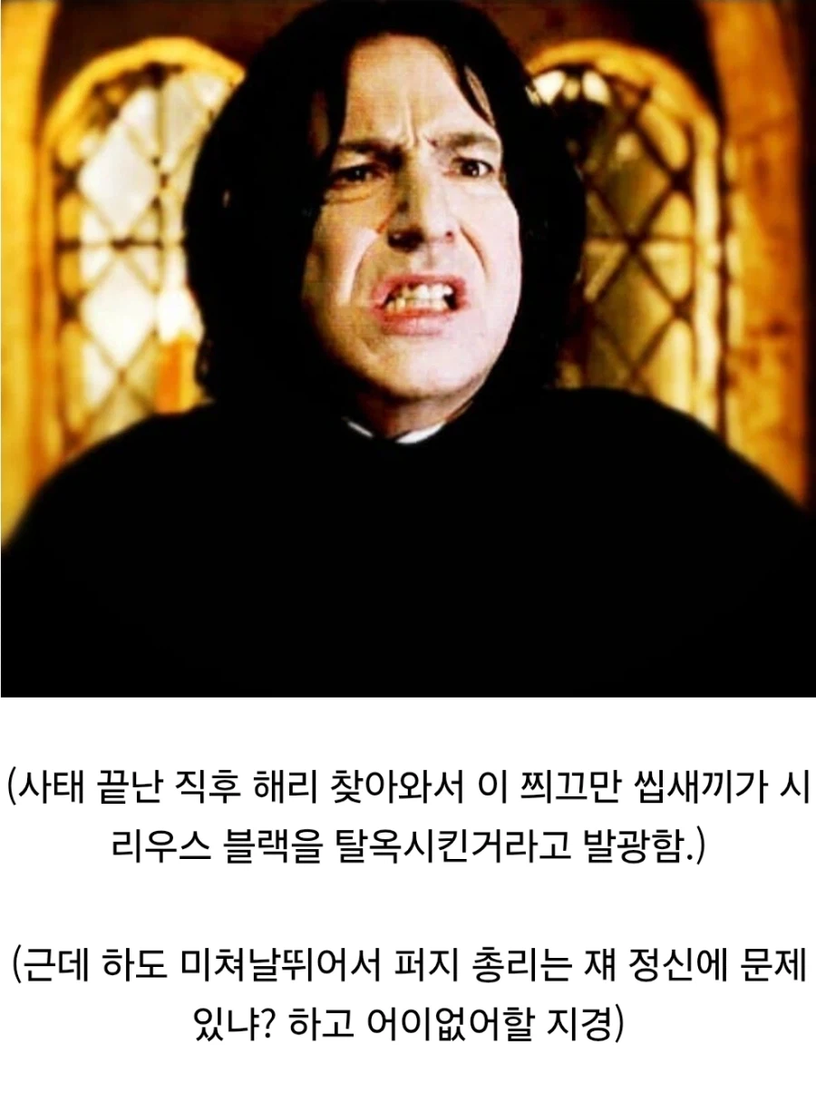 해리포터) 스네이프가 영화에서 가장 미화된 순간