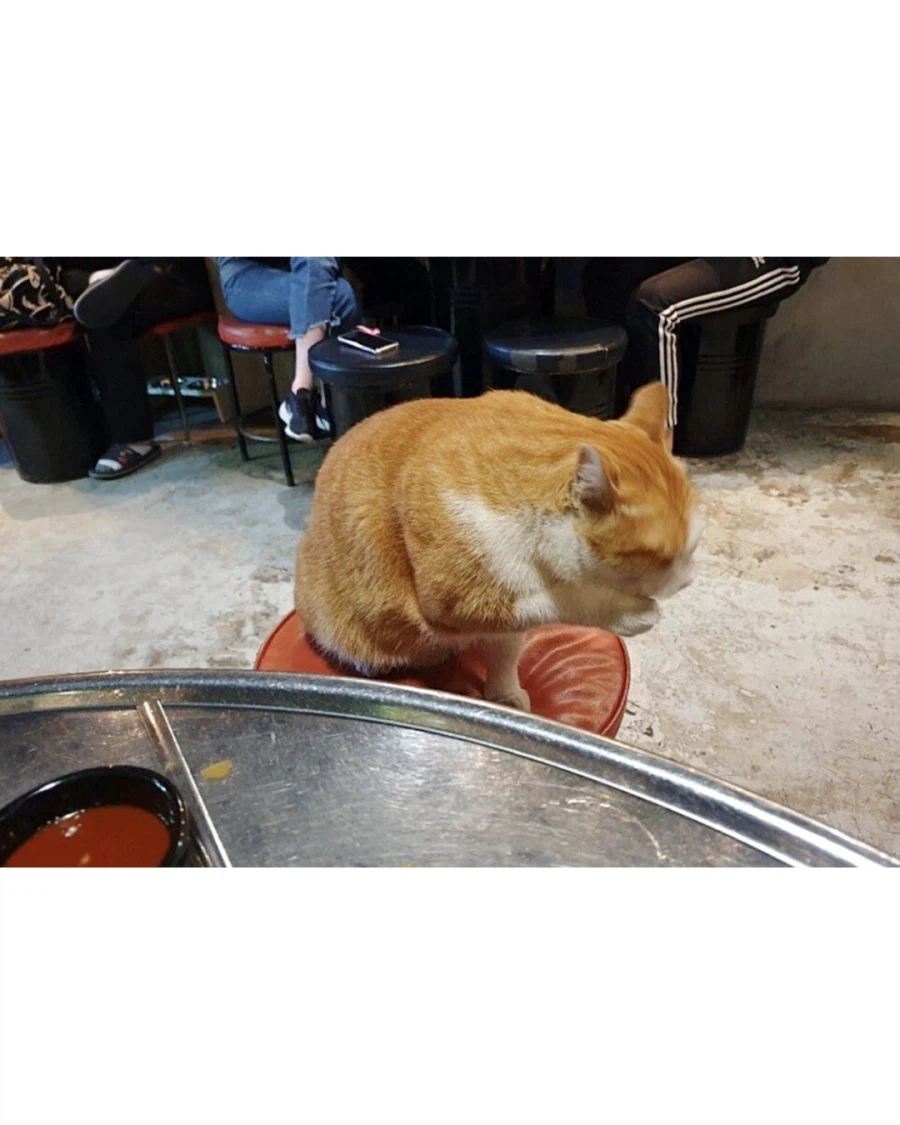 술 마시고 있는데 갑자기 모르는 분이 합석함.