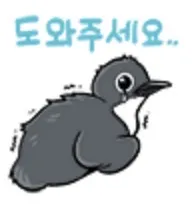 국제 동물권단체 PETA의 경고 “당신은..”