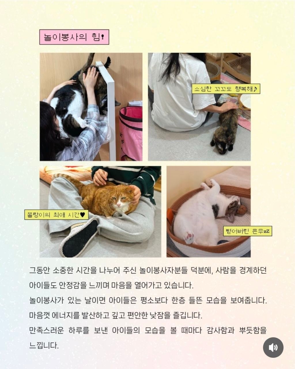 매주 토요일 고보협 입양센터 놀이봉사자 모집‼️‼️
