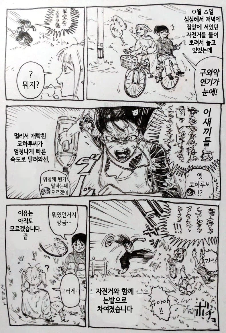최근 유게 베스트 문제작 고향최고! 팬만화 모음