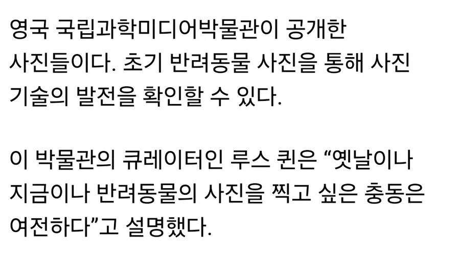 "사진기"가 처음 등장한 이후 대중들이 찍고 싶어했던 사진들.JPG