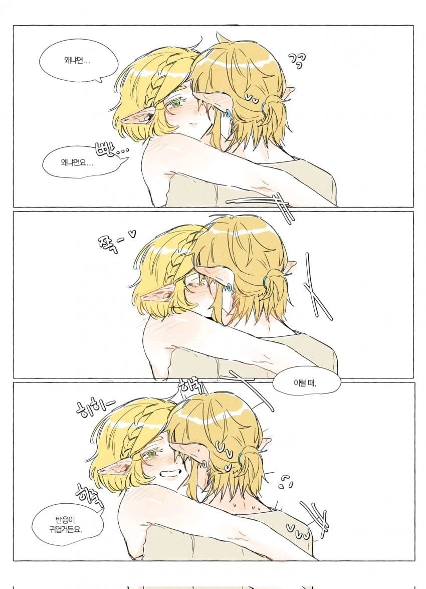 링크 젤다 만화