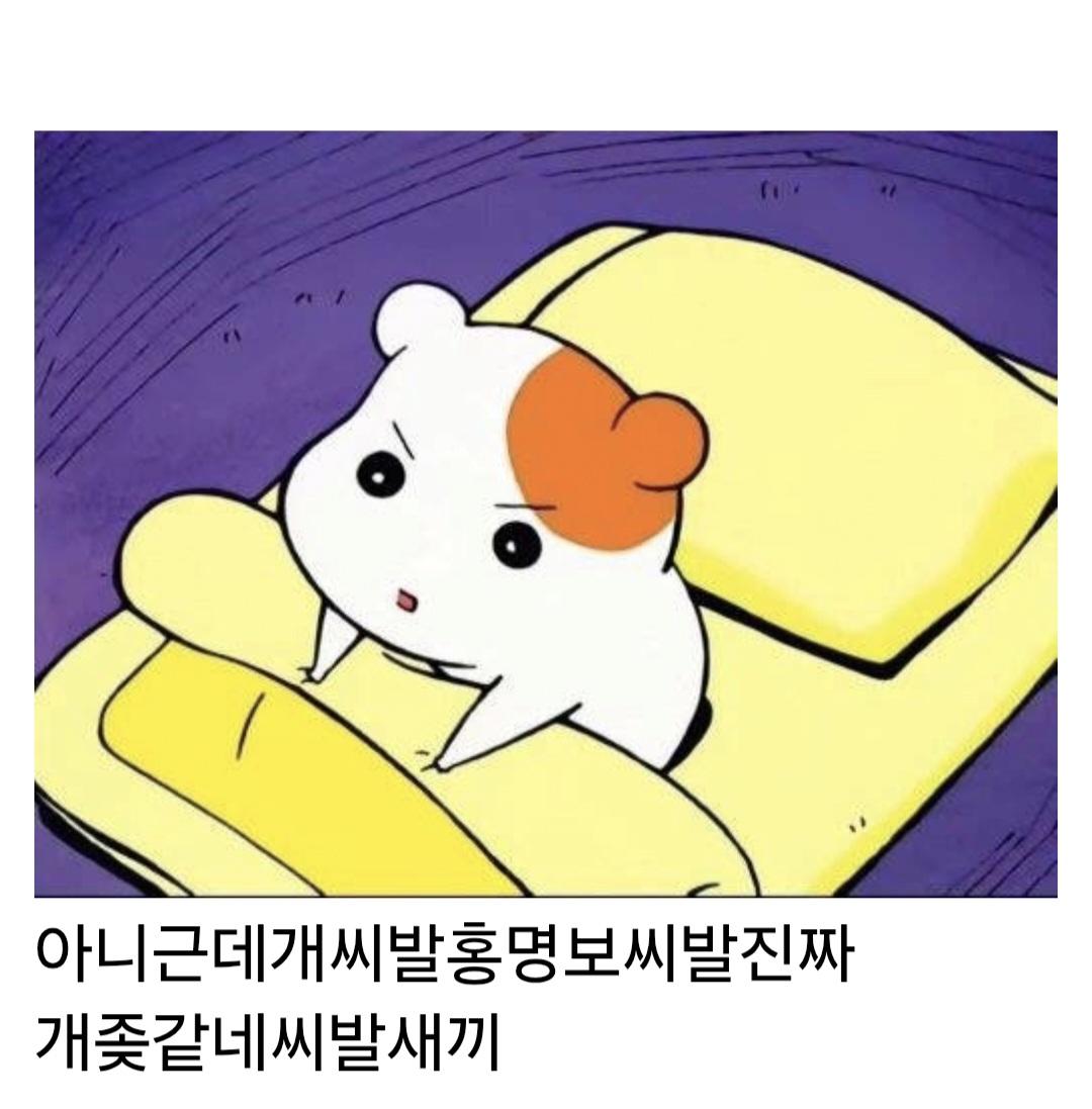 축구로 내상입은 사람들 현재 상황