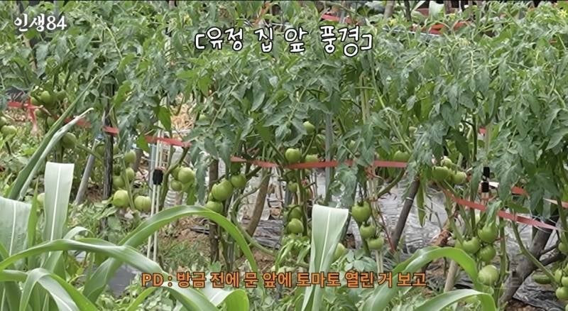 경기도인 울컥하게 만든 기안 84 발언.jpg