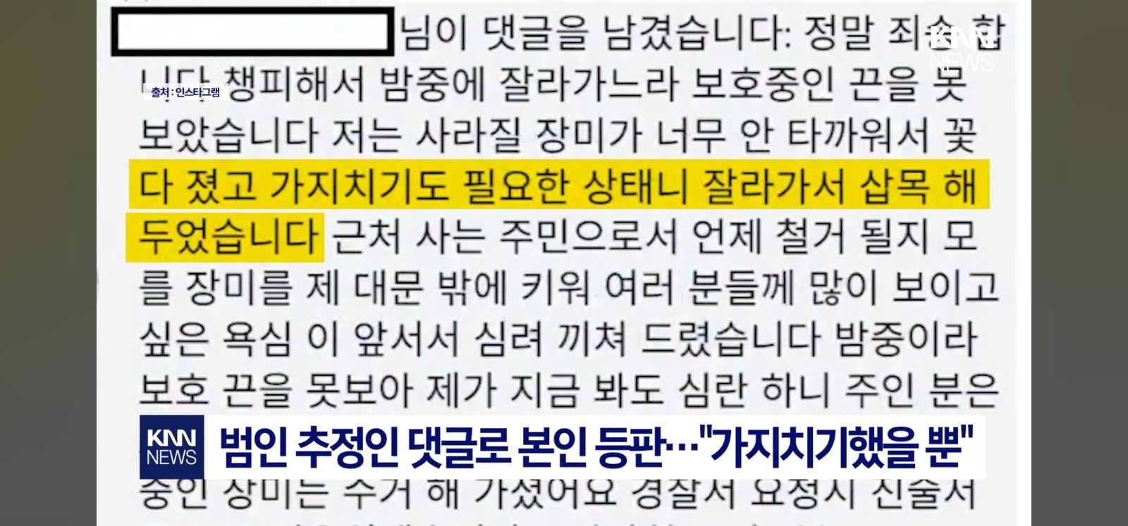 장미 잘라간 부부 본인등판