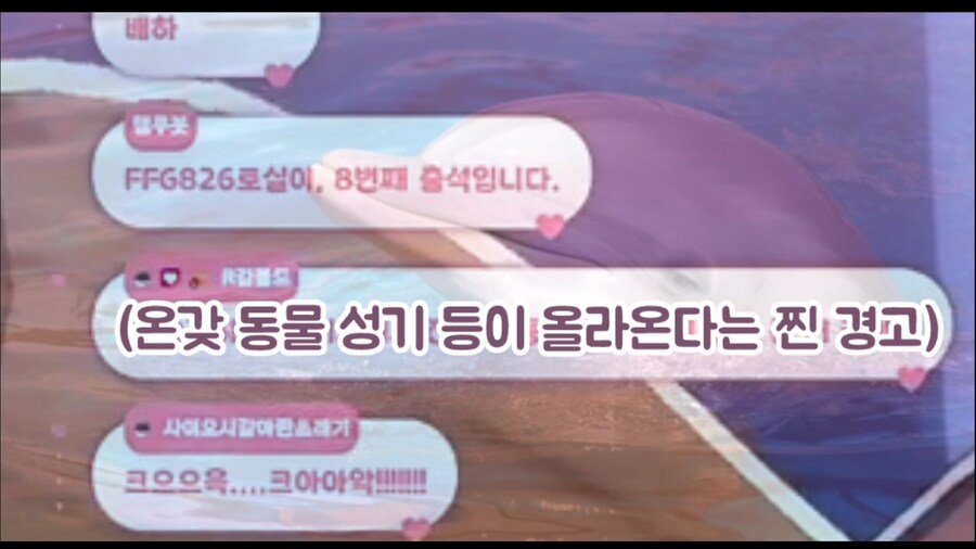 시청자들이 루리웹 욕하는데 논란없는 방송