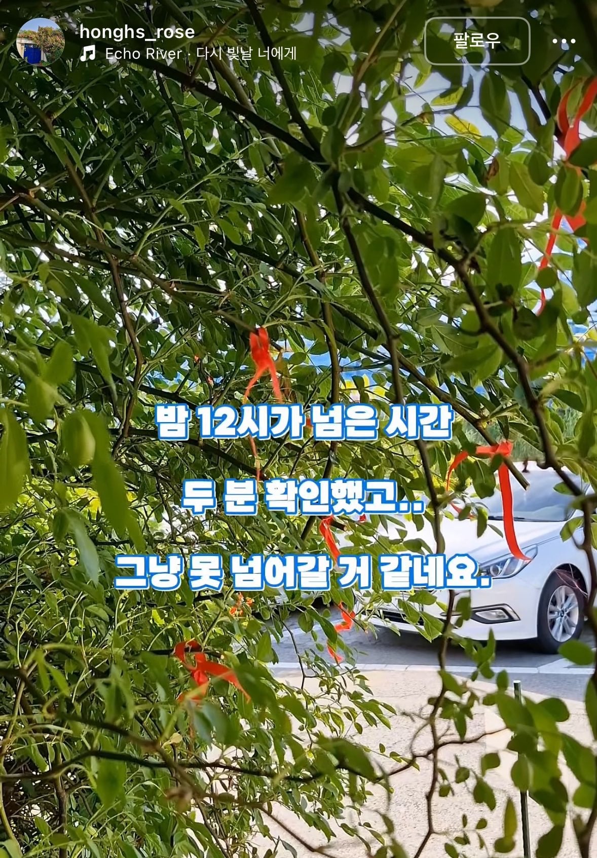젊은 부부가 사유지 장미 무단으로 잘라서 훔쳐감
