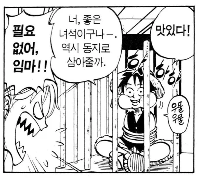 원피스) 루피 입장에서는 진짜 엄마 생각나는 동료