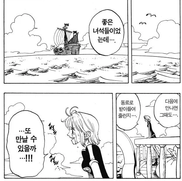 원피스) 루피 입장에서는 진짜 엄마 생각나는 동료