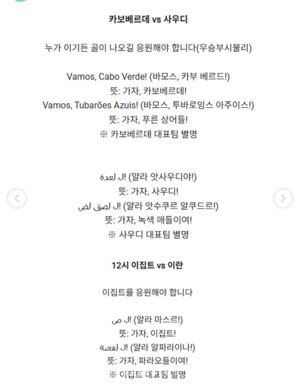 [스크랩] 남아공전 졌지만 응원스케쥴 빡셈