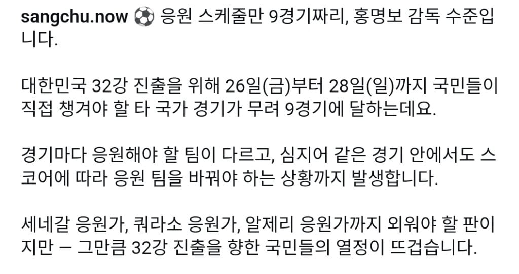 [스크랩] 남아공전 졌지만 응원스케쥴 빡셈