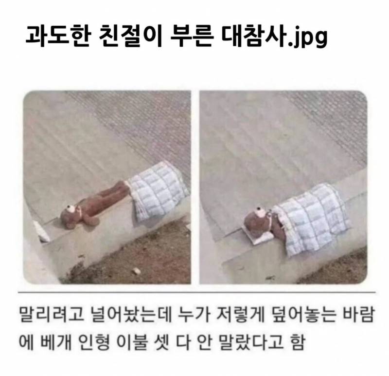 솔직히 난 성형했지만 존예고 직업 잘 선택해서 돈도 정말 많음^^