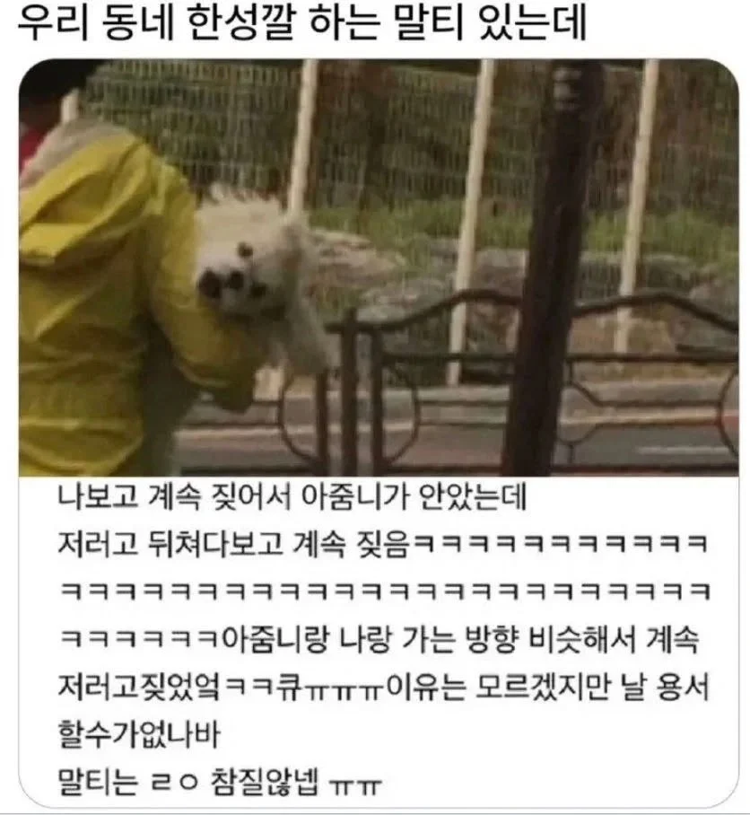 솔직히 난 성형했지만 존예고 직업 잘 선택해서 돈도 정말 많음^^