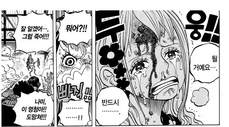 원피스) 사실 루피가 알았으면 노발대발 화를 냈을 상황