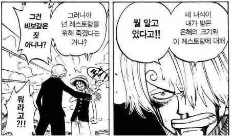 원피스) 사실 루피가 알았으면 노발대발 화를 냈을 상황