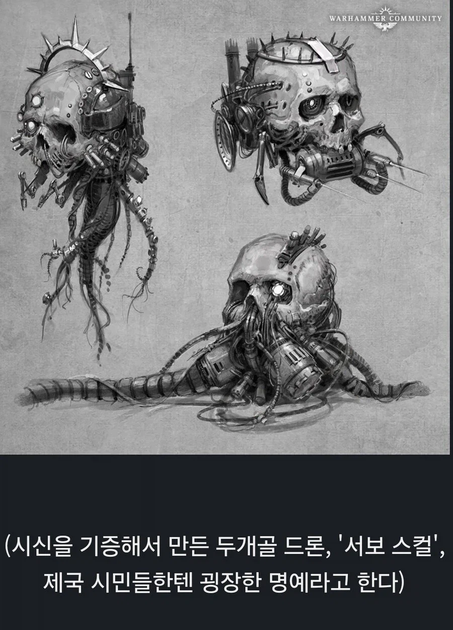 스페이스마린2로 워해머 처음 본 버튜버의 반응.JPG