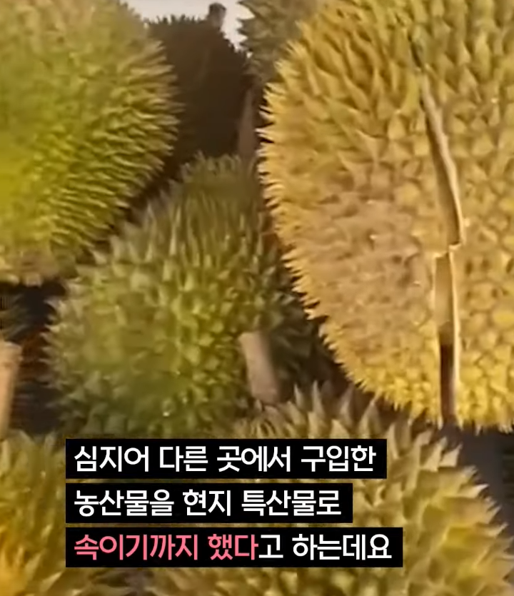 중국의 산골처녀가 체포된 이유..jpg