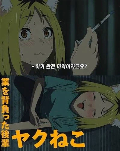 담배고양이)어찌 보면 가장 미친자