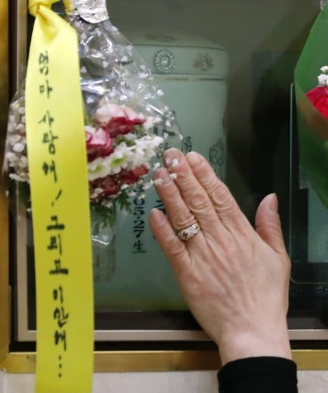 세월호 일반인 희생자