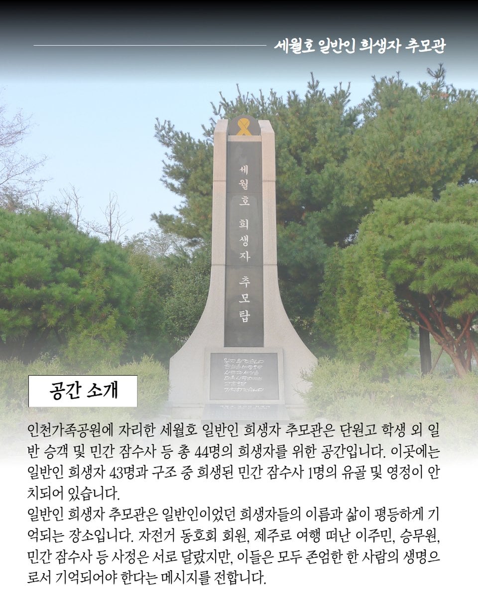 세월호 일반인 희생자