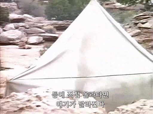 전설이 되버린 맥가이버 칼의 첫 등장