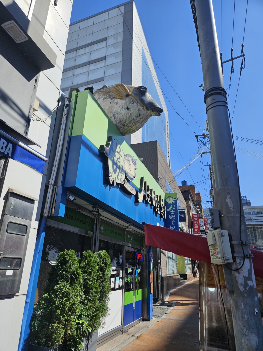 갑자기 대구여행 ㄷㄷㄷ  (스압)