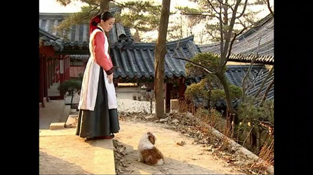 드라마 대장금에 나온 시츄