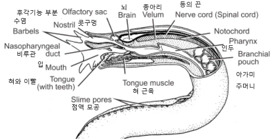 의외로 동물복지 관점에서도 큰 문제 없는 음식