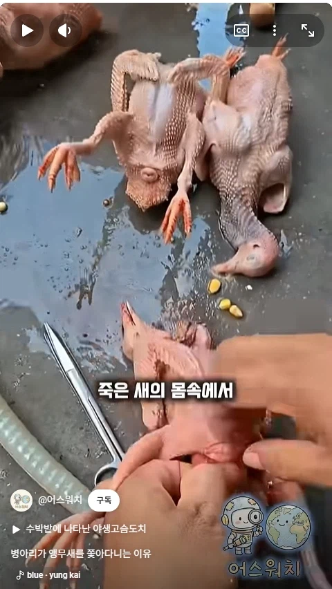 나 죽음에서 태어났다