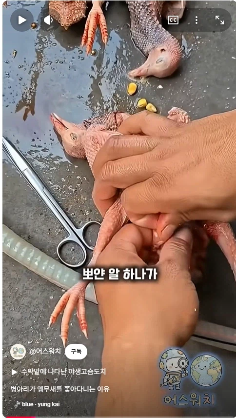나 죽음에서 태어났다