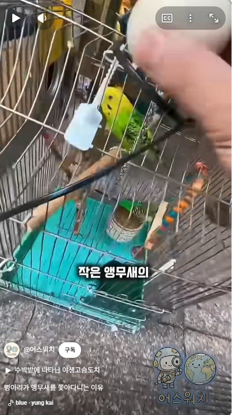 나 죽음에서 태어났다