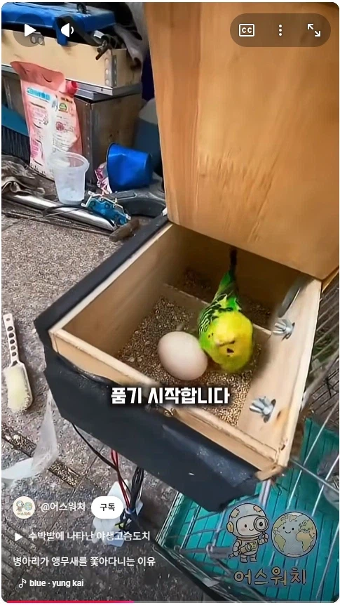 나 죽음에서 태어났다