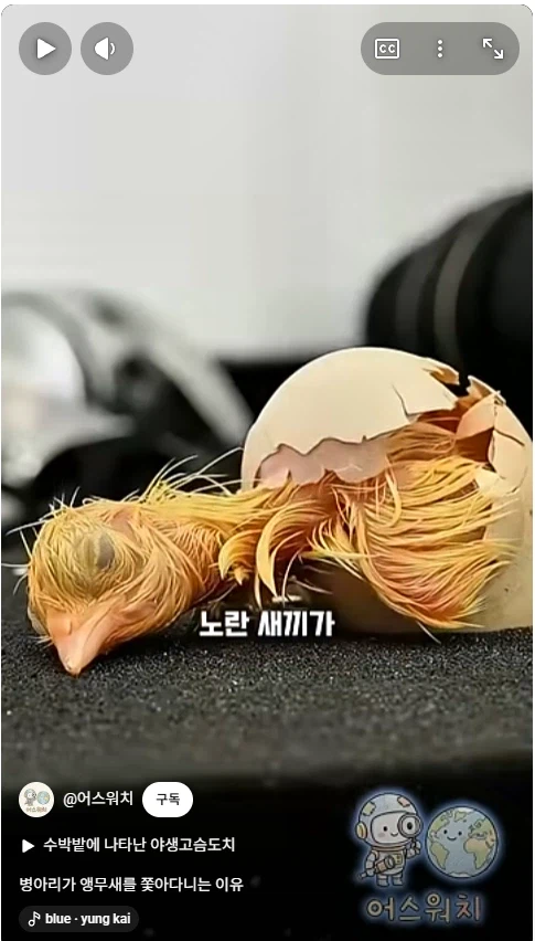 나 죽음에서 태어났다