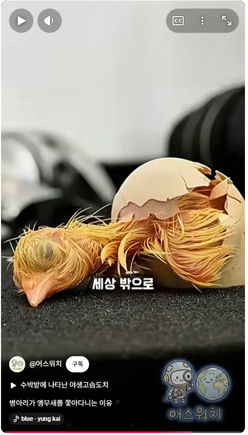 나 죽음에서 태어났다