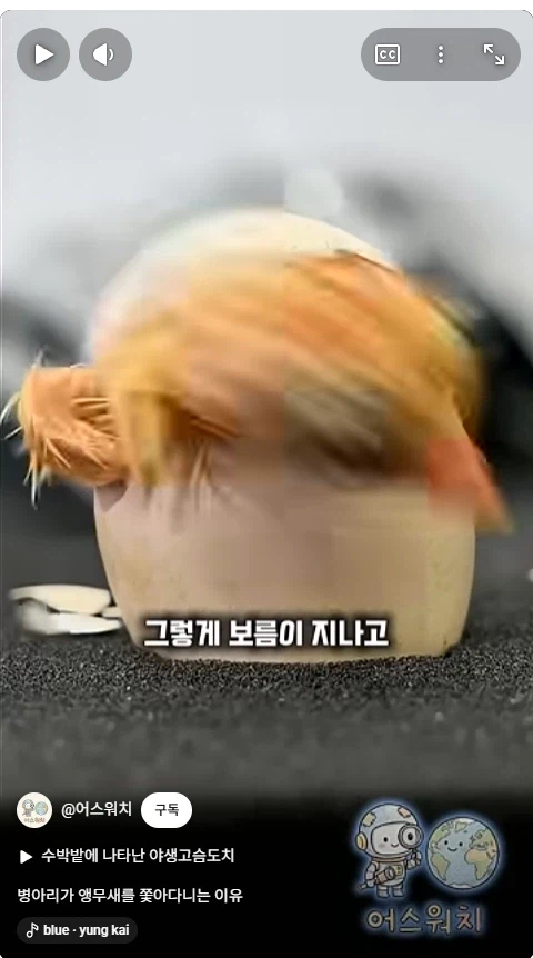 나 죽음에서 태어났다