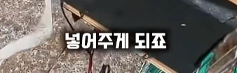 나 죽음에서 태어났다