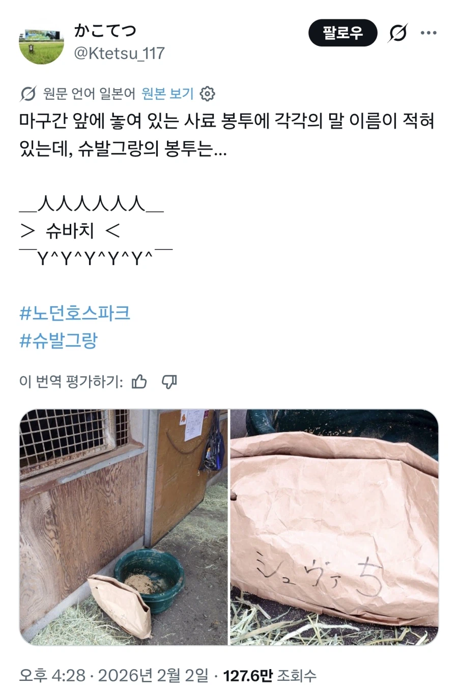 말딸) 빨간약 _ 우리 슈발이 은퇴 후 이것저것 다양하게 하겠구나