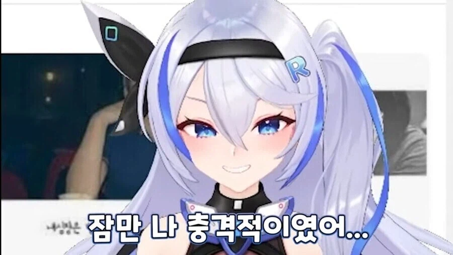 미루) 뇌가 받아들이고싶지 않았던 정보