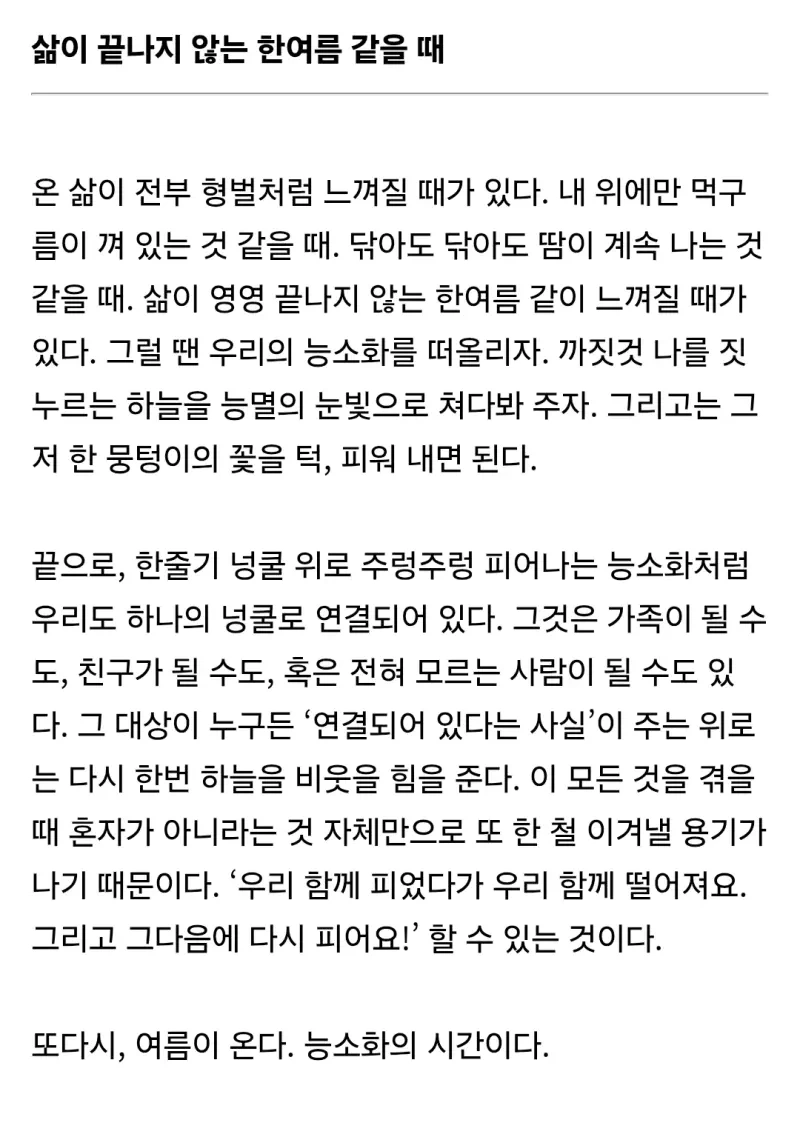 아무리 난리 쳐봐라 나는 피어나고 말지txt