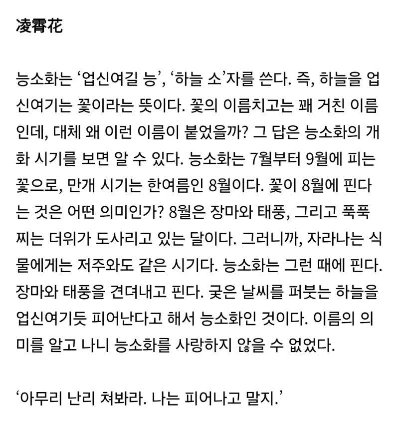 아무리 난리 쳐봐라 나는 피어나고 말지txt