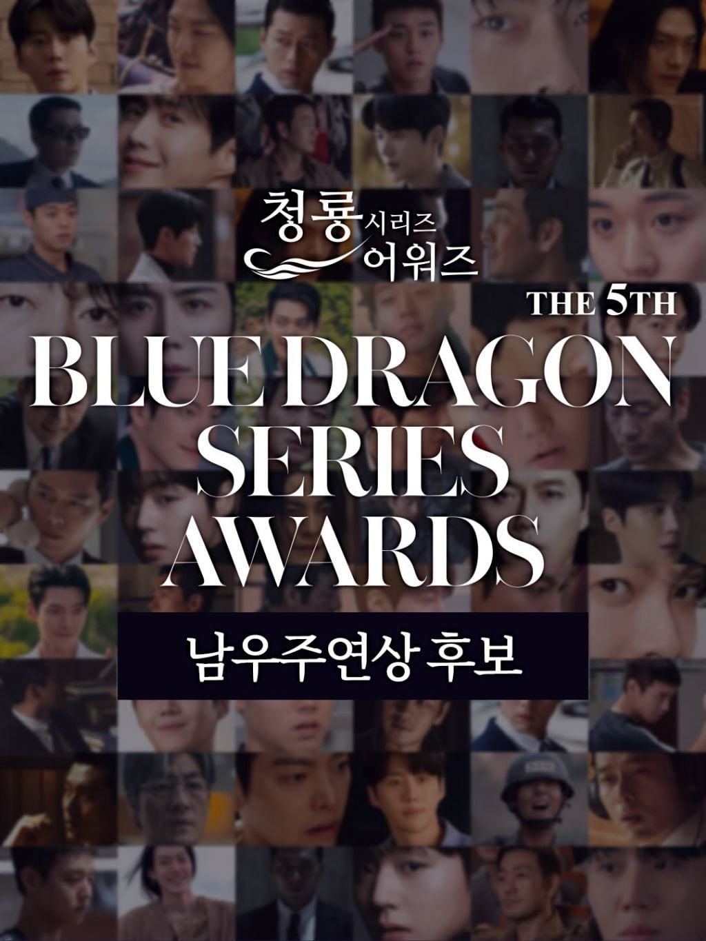 제5회 청룡시리즈어워즈 남녀 여우주연상 후보