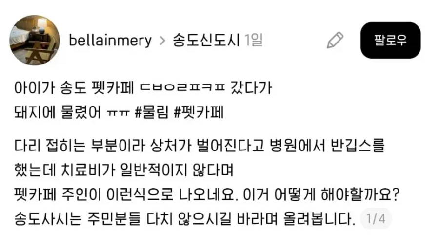 송도 펫카페 돼지 물림 사고 근황