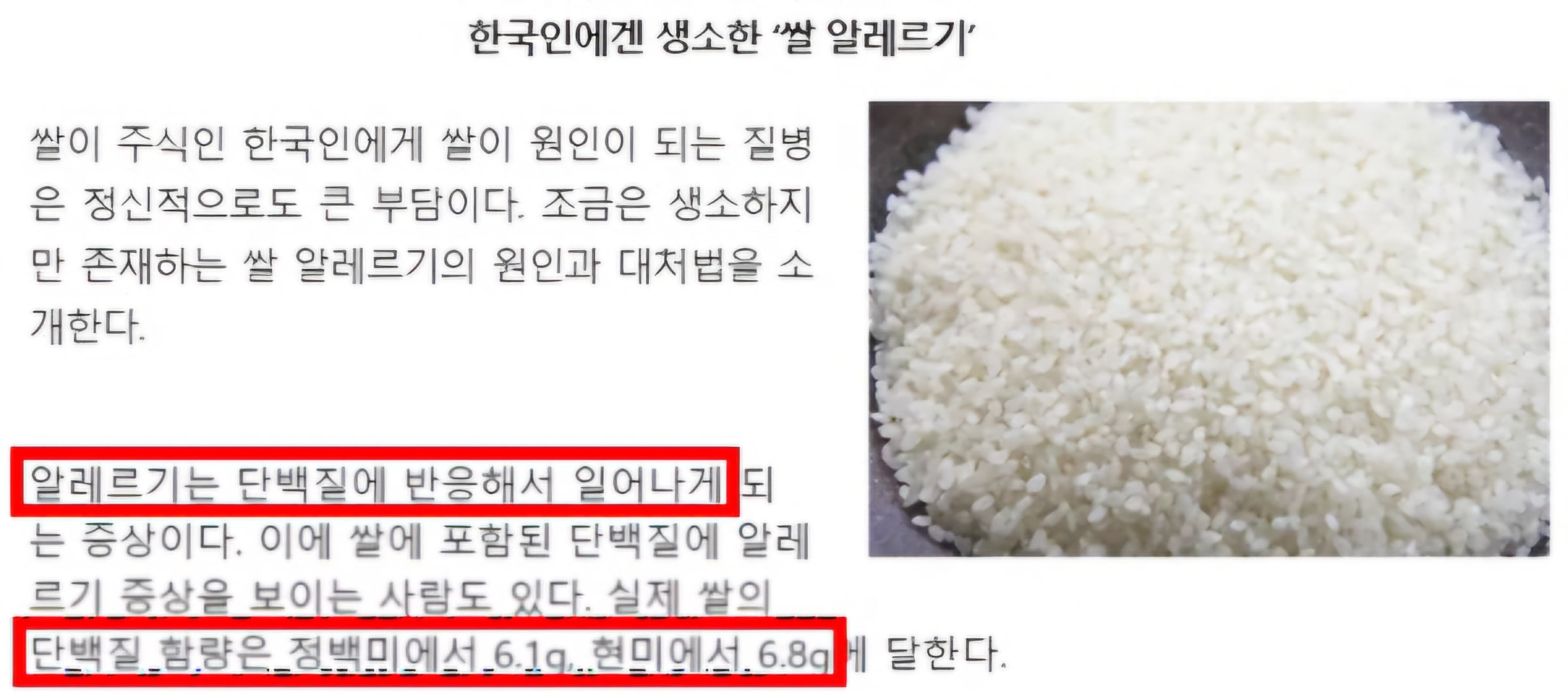 한국인 최악의 알레르기 근황