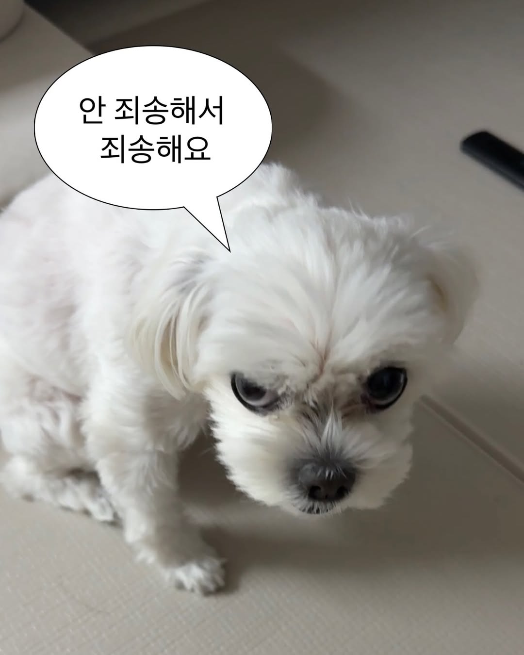 하이닉스 지금 사면 두배 먹을수 있겠죠?