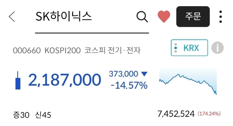 하이닉스)현재 수많은 사람들이 물리게된 공통과정