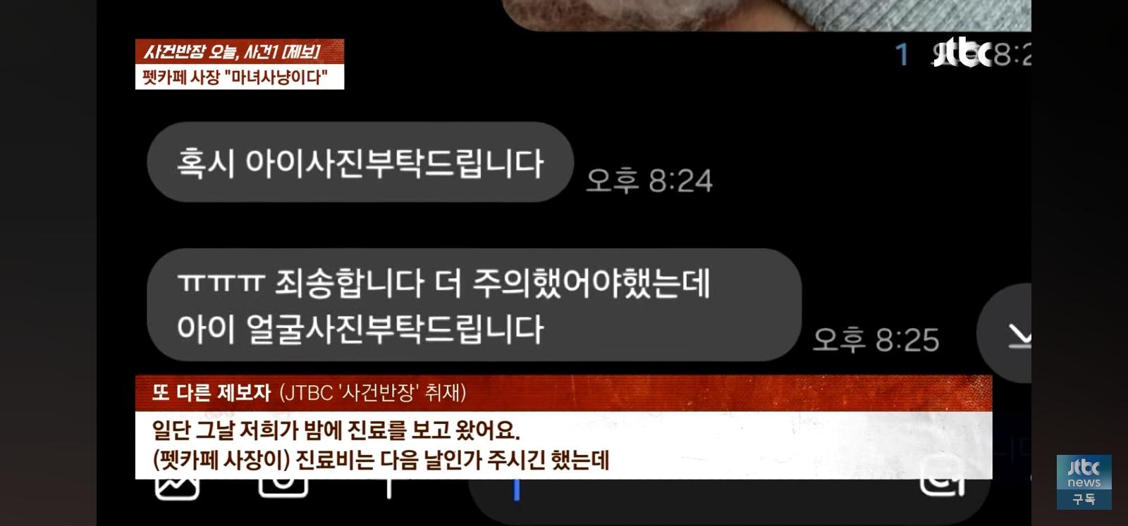돼지물림 사고 취재가 사작되자