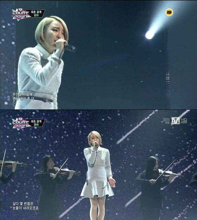 ?? : 강아지 아기
